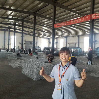 100mm X 120mm Wire Mesh Gabion Cages For Water Management Free Sample