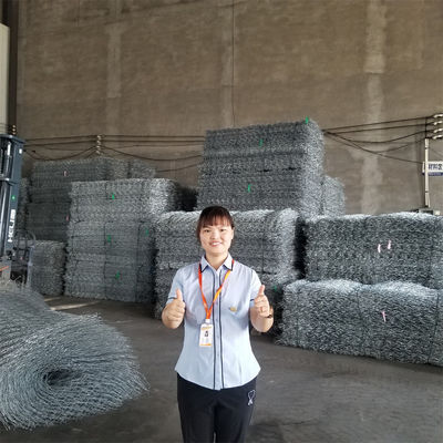 80mm X 100mm Mesh Size Gabion Wire Mesh Woven Gabion Cages For Road Construction