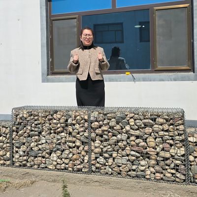 Heacy Zinc Coated Gabion Planters Customized Sizes Gabion Plant Boxes