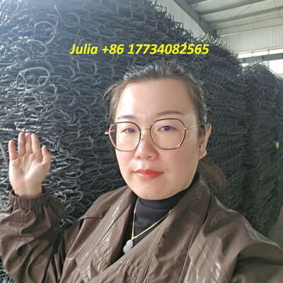 PVC Coated Gabion Baskets With Robust Hexagonal Mesh And Tie Lacing Wire Connections For Durable Retaining Walls And Slope Stabilization