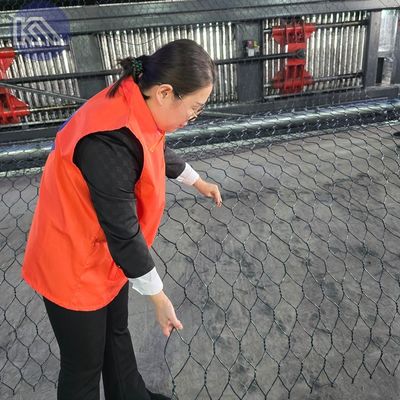 80x100mm 2x1x1 Pvc Galfan 275gsm Galvanized Wire Mesh Gabion Baskets Box