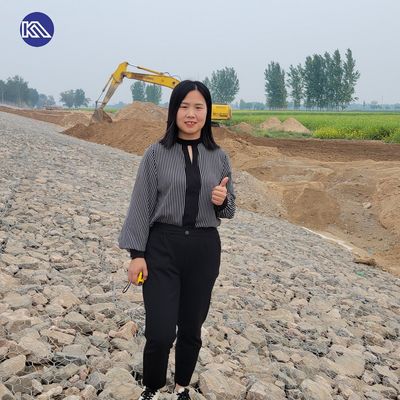 120x150mm Hexagonal Gabion Mesh Box For Flood Control Retaining Wall