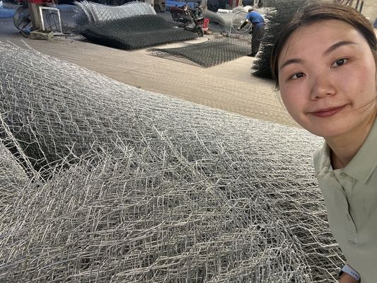 Hot Dipped Galvanized Gabion Box 2.0-4.0mm Wire Double Twist