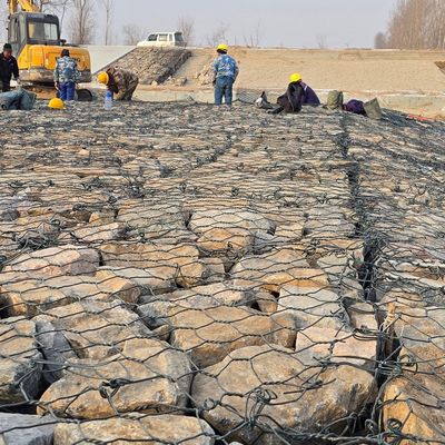 Galvanized PVC Coated Gabion Wire Mesh 60x80mm 80x100mm For Foundation Support