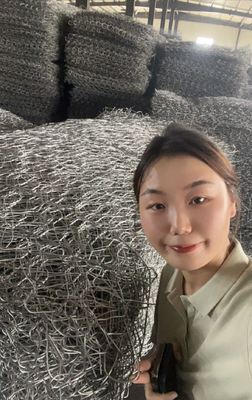 Heavy Galvanized Gabion Box Wire Mesh 2m Length Anti Rust Woven Hexagonal Mesh Style