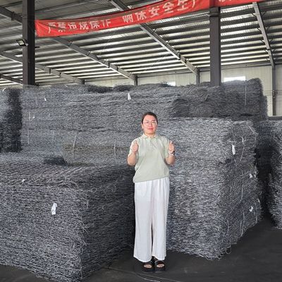 Double Twisted Hexagonal Design Gabion Wire Mesh Wall Stone Cage Simple Installation
