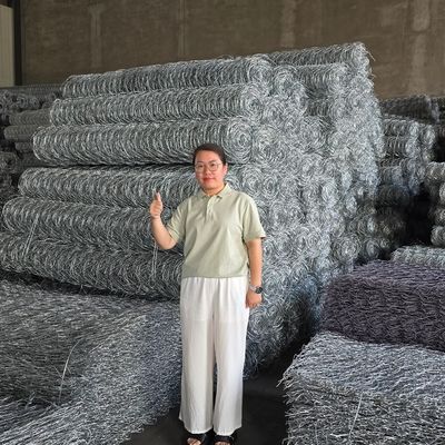 Double Twisted Hexagonal Design Gabion Wire Mesh Wall Stone Cage Simple Installation