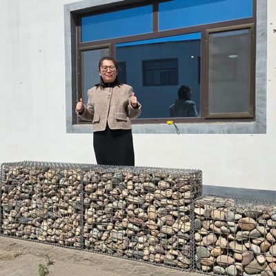 5x5cm 5x10cm Wire Mesh Gabion Planters Gabion Basket Planter for Stylish Gardens