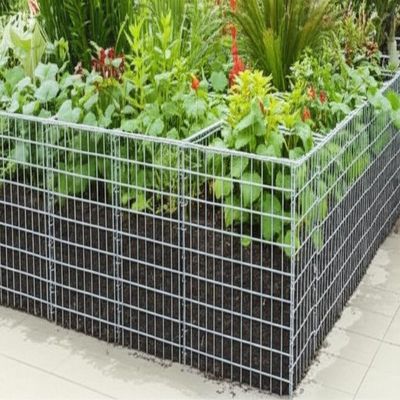 Heavy Duty Galvanized Gabion Planters 50x50mm Mesh For Garden Landscape