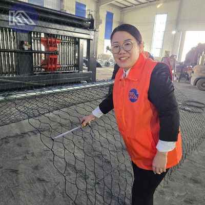 Hexagonal Mesh Rock Fall Protection Mesh Gabion Wire Mesh Roll Customized