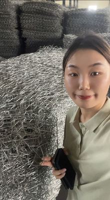 Double Twist Gabion Basket 60x80mm Galvanized PVC Coated Wire Stone Cage