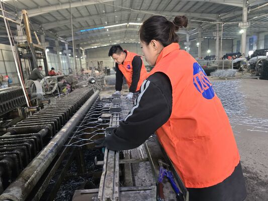 Economical Galvanized/PVC Coated 100mmx120mm Hexagonal Woven Gabion Basket For Landscaping