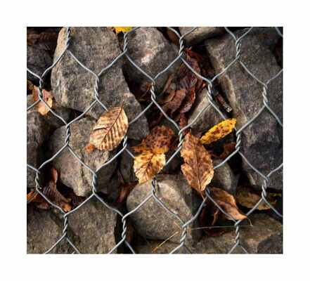 Durable Galvanized Gabion Stone Cage Box China Manufacturer Cheap Price River Engineering Hexagonal Gabion Box/Gabion Basket