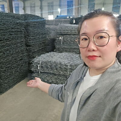 River Construction Gabion Mattresses Mattress Size 4x1x1 M Boday Wire 2.2mm Durable Erosion Control Solution for Waterway Protection