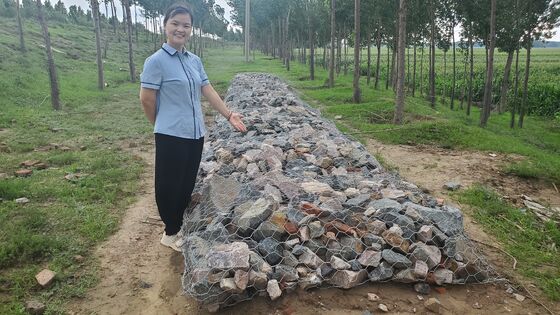 Woven Hexagonal Gabion Cage 80*100mm for River Protection