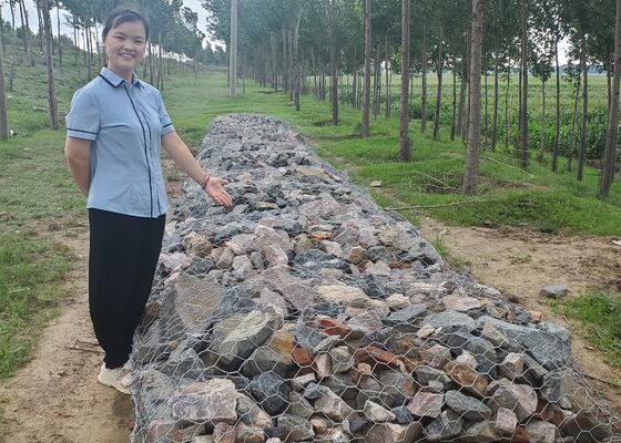 Heavy Duty Hexagonal Gabion Wall for Slope Protection River Bank Stabilization