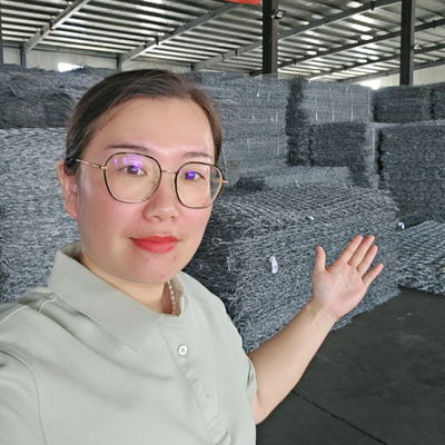 Anti Corrosion Heavy Duty Gabion Wire Mesh Wall Protect Riverbanks Slopes And Channels